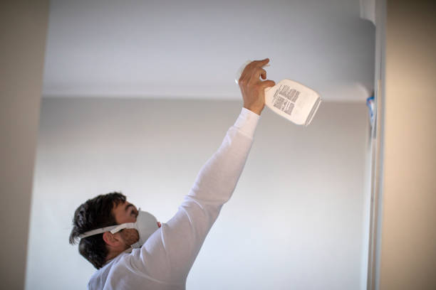 Best Mold Damage Repair  in Lyons, GA
